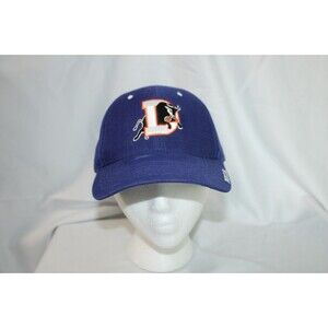 Vintage Durham Bulls Baseball Hat 1990s Twins Enterprise Snapback Hat Blue